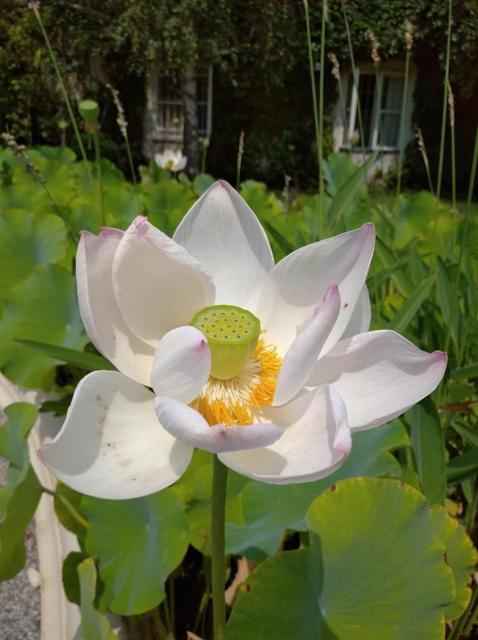 ホテル Botanical Garden ザグレブ エクステリア 写真